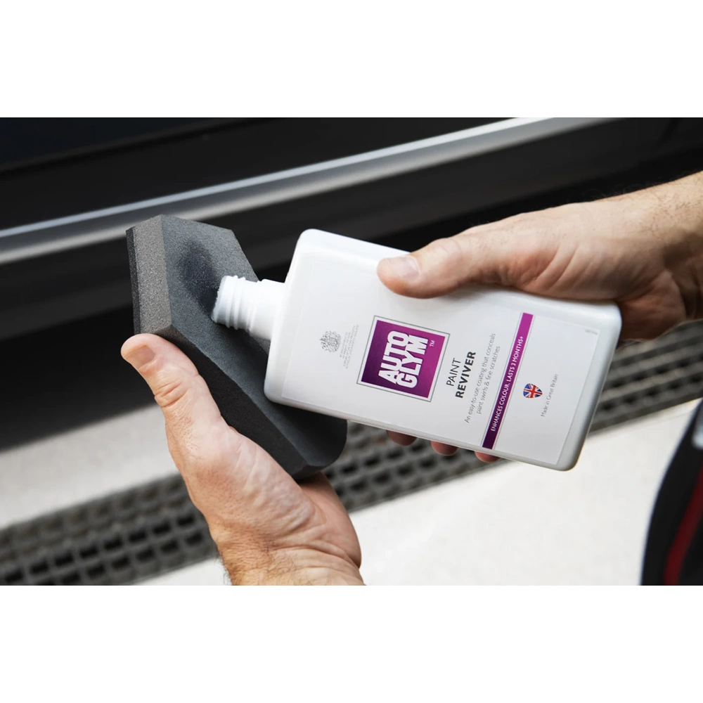 PAINT REVIVER - 500 ML.