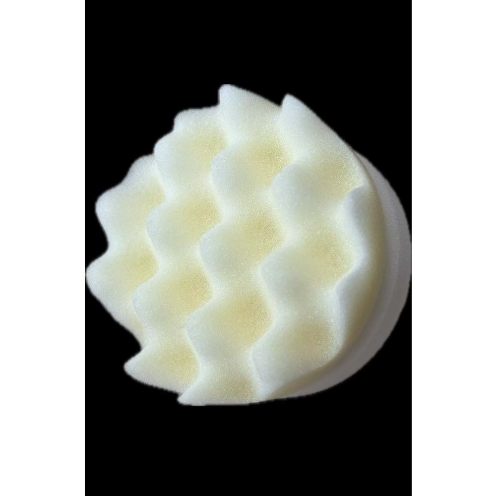 POLISHING PUCK