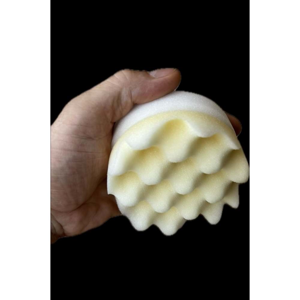 POLISHING PUCK