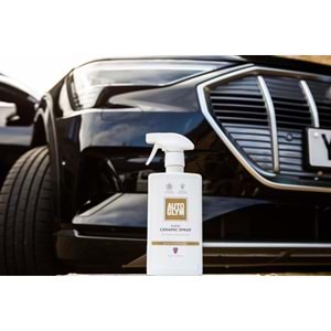 RAPID CERAMIC SPRAY - 500 ML.