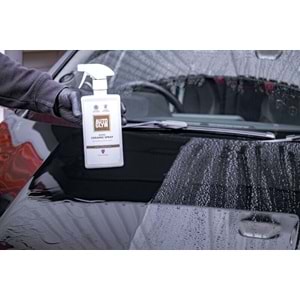 RAPID CERAMIC SPRAY - 500 ML.