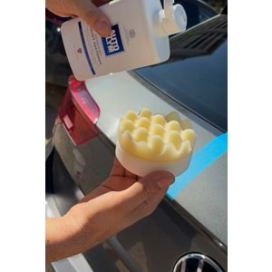 POLISHING PUCK